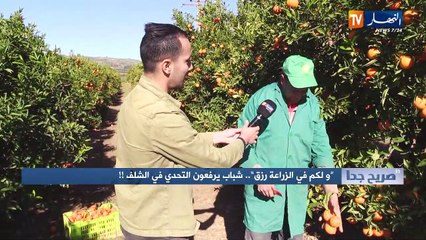 صريح جدا: "ولكم في الزراعة رزق"..شباب يرفعون التحدي في الشلف !!