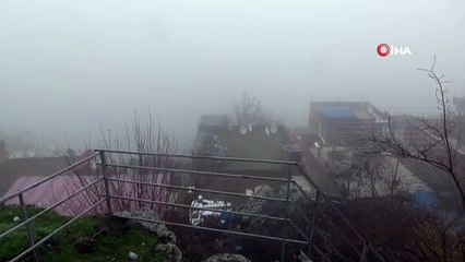 Diyarbakır’da Sis Nedeniyle Uçak Seferleri İptal Edildi