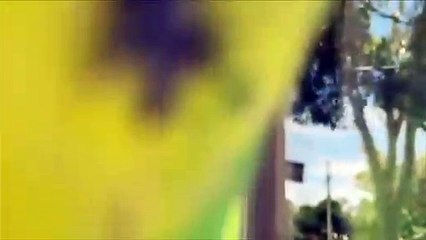 Funny Parrots and Cute Birds Compilation #14 - 2018