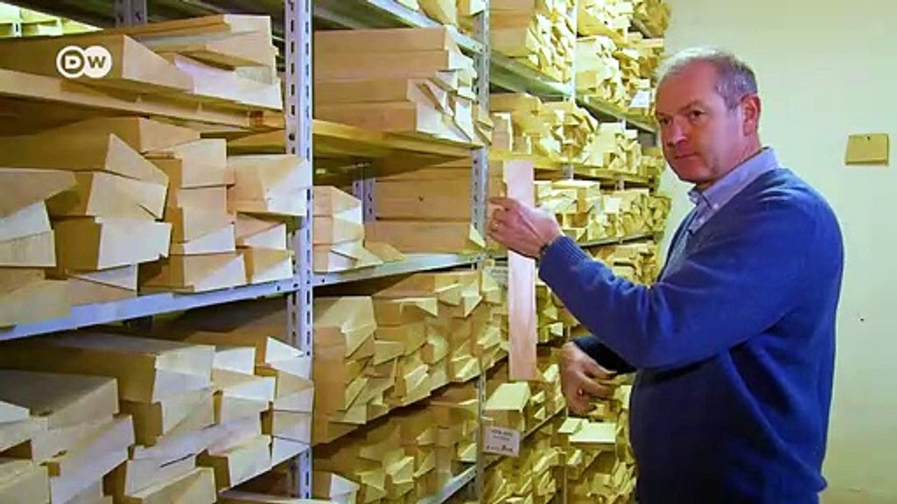 Italy: The man who turns the trees of Val di Fiemme into music | Focus on Europe