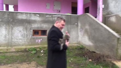 Otomobilin Çarptığı Kediye Çocuk Sahip Çıktı