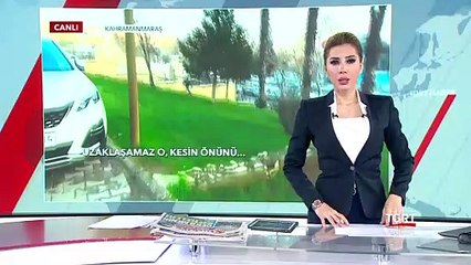 Polisi Görünce Kaçmaya Başladı