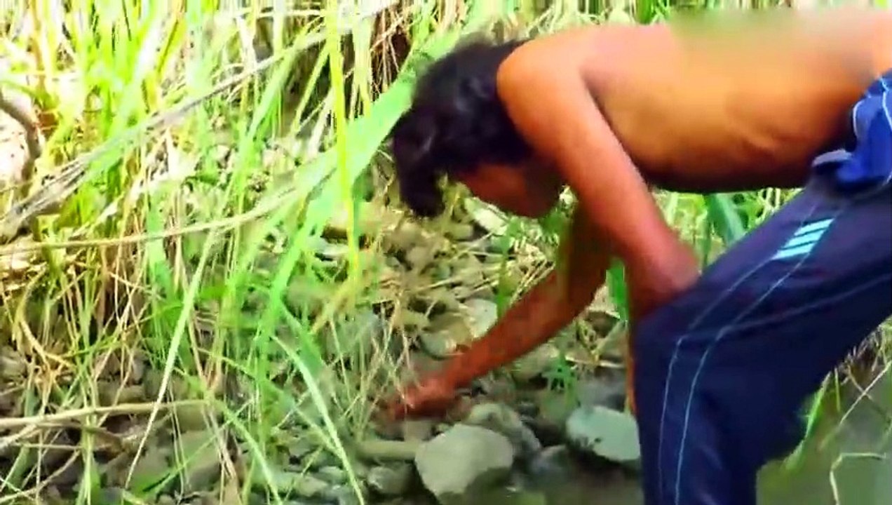 Guy wilderness food, netizen Crab Jun is still struggling in the fire! Can not bear to look