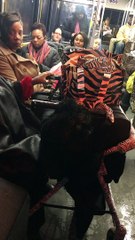 Bus Ride Shenanigans