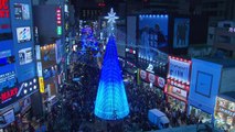 '화려한 밤의 크리스마스' 부산 광복동 트리 축제 / YTN