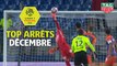 Top arrêts Ligue 1 Conforama - Décembre (saison 2018/2019)