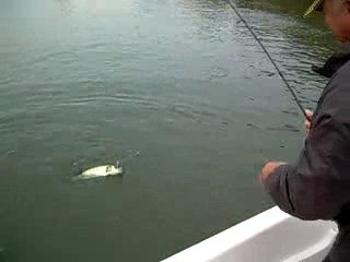 Julien guide rio ebro avec JPierre Laurens