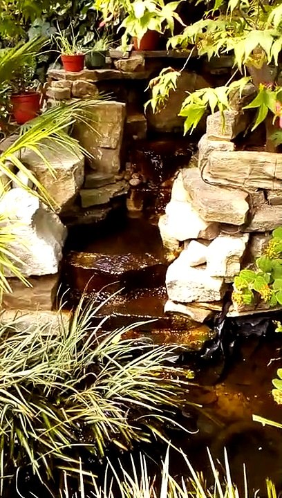 New waterfall above my pond with water running