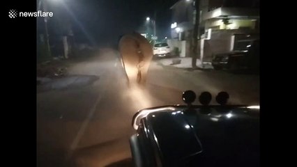 Footage shows police chasing off wild elephant in eastern Indian state