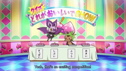 Pokemon XY&Z Poke TV Segment 017 English Sub XY110