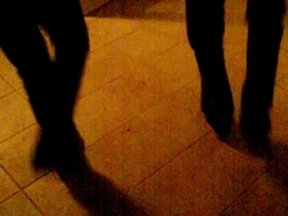 Photo 085