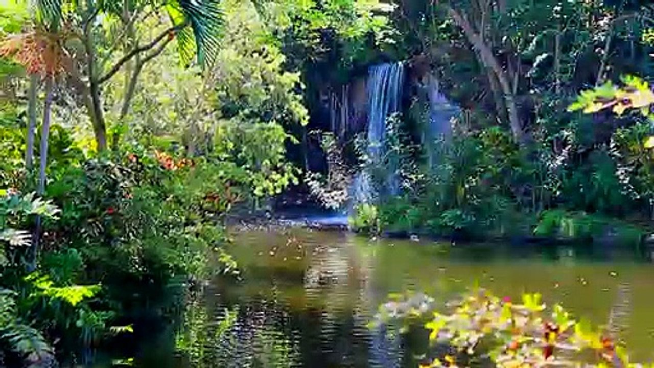 H Forbes Charter Overview