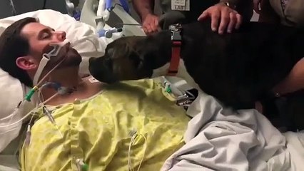 The dog is very sad when his employer is about to die