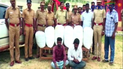 நூதன முறையில் கஞ்சா கடத்திய இரண்டு நபர்கள் கைது-வீடியோ
