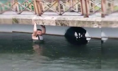 Köpeği kurtarmak için buz gibi suya girdi