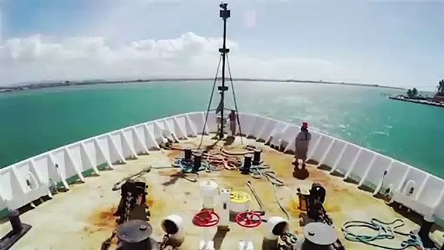 New creatures on the bottom of the sea have been discovered by humans