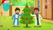 STORY OF THE CHRISTMAS TREE !!| The Dr. Binocs Show | BEST LEARNING VIDEOS For Kids | Peekaboo Kidz