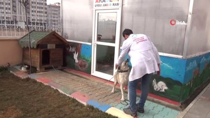 Engelliler Tarım Yaparak Ürün Yetiştiriyor