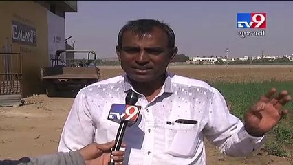 Gaushala which never runs out of fodder in drought hit Kutch- Tv9