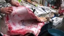 Keban Barajı’nda 92 kilogramlık turna balığı yakalandı