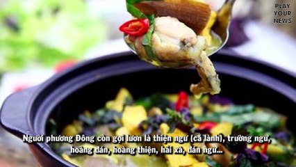 Thịt lươn - "Sâm động vật" quý hiếm mà ít người biết đến