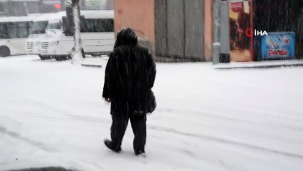 Ahlat’ta kar yağışı hayatı olumsuz etkiliyor