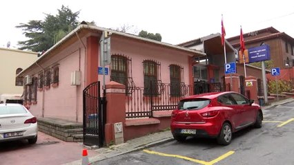 Sokak Hayvanları "Mikro Çip" ile Kayıt Altına Alınıyor - İstanbul