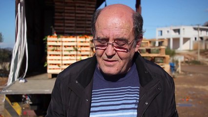 Kultivimi i mandarinave; Fermerët e Konispolit ankohen për probleme