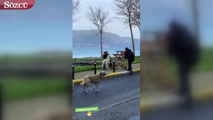 Can Yaman paylaştı Demet Özdemir’in sevgisi gün yüzüne çıktı