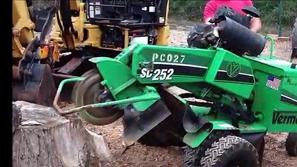 Sydney Urban Tree Services