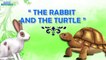 The rabbit and the turtle  moral story for kids ll bed time stories for toddlers
