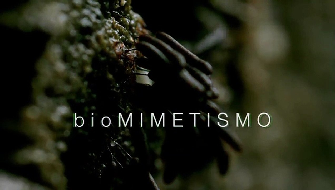 Biomimetismo 16