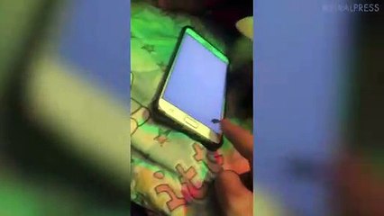 New Player Catches Mouse