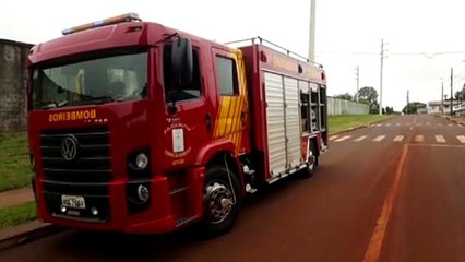 Bombeiros são mobilizados para corte de árvore