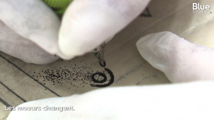 En Tunisie, le tatouage redevient tendance auprès des jeunes