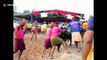 India's traditional 'kambala' buffalo race thrills spectators despite animal rights concerns