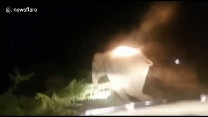 Charging elephant comes face-to-face with Indian forestry officials