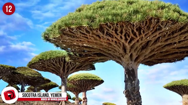 Kunal Bansal Chandigarh | 19 Unbelievable Places You Can Visit