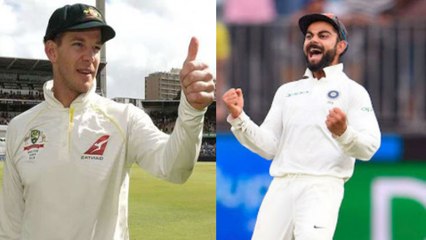 India vs Australia : Tim Paine Defends Virat Kohli’s Attitude