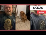 Hilarious video shows aftermath of dog's huge sick on owner's chest | SWNS TV