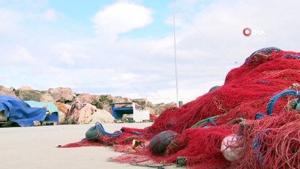 Ona 'ağların' efendisi diyorlar...Ağların efendisi tam 37 çeşit ağ örebiliyor