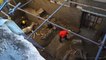 Les restes d'un cheval retrouvés presque intacts à Pompéi