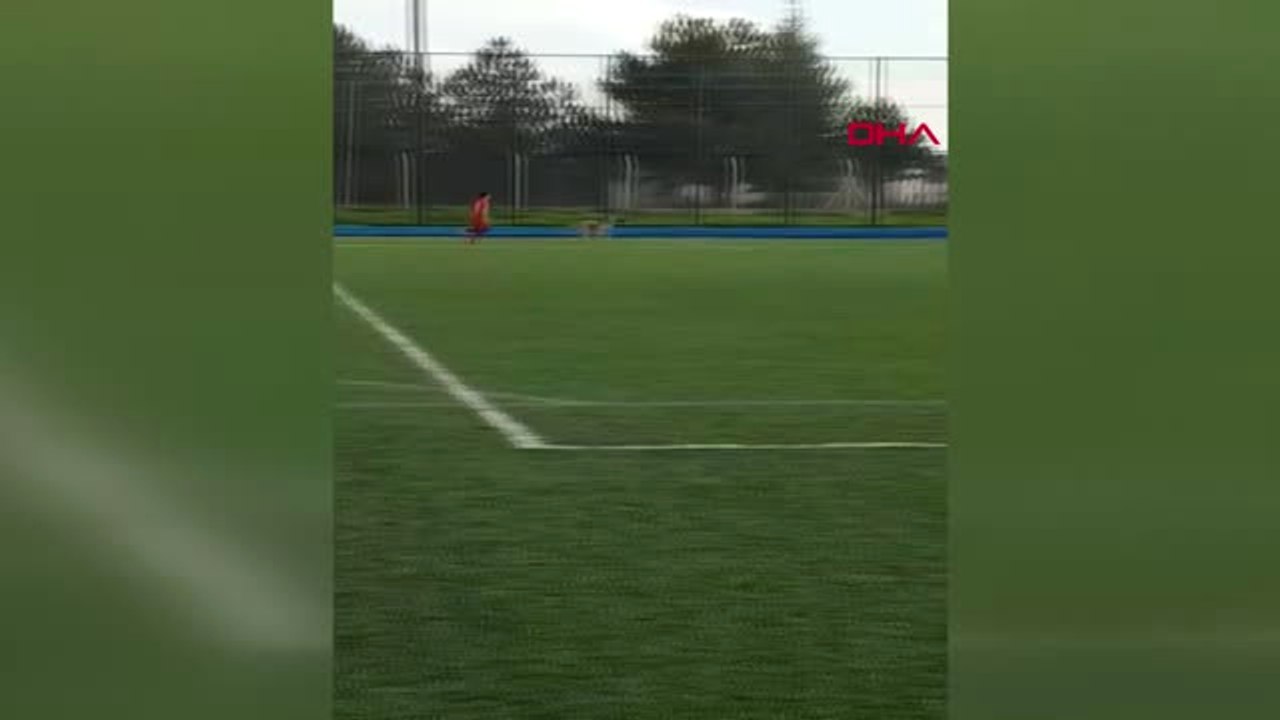 Tokat Maç Sırasında Sahaya Giren Köpek, Oyunu Durdurdu