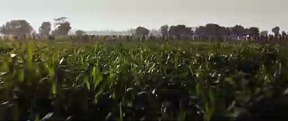 THE LEGEND OF MAULA JATT OFFICIAL TRAILER FAWAD KHAN HAMZA ALI ABBASI MAHIRA KHAN BILAL LASHARI FILM[via torchbrowser.com]