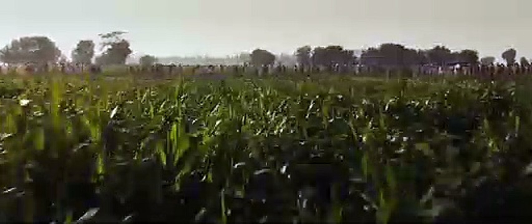 THE LEGEND OF MAULA JATT OFFICIAL TRAILER FAWAD KHAN HAMZA ALI ABBASI MAHIRA KHAN BILAL LASHARI FILM[via torchbrowser.com]