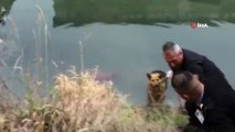 Su kanala düşen köpek kurtarıldı