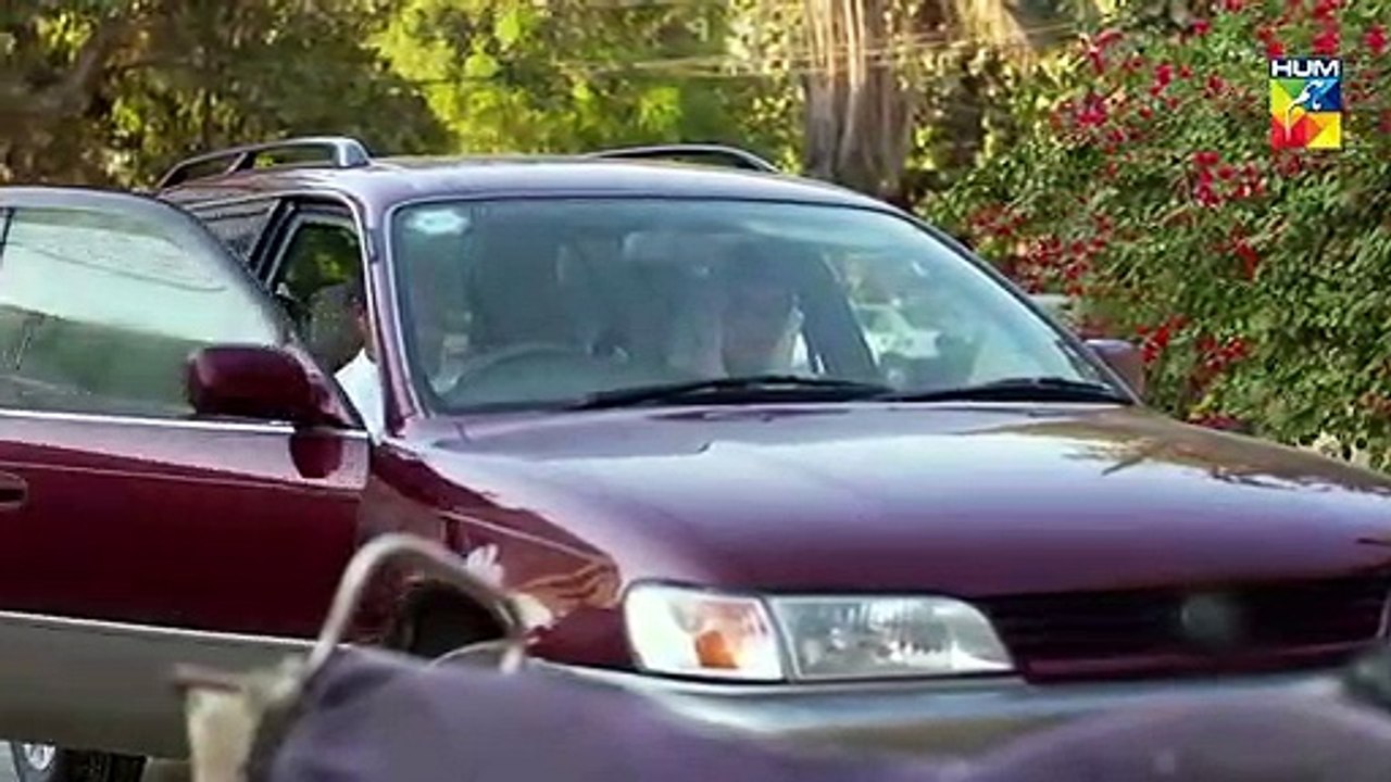 Bisaat e Dil Epi 17 HUM TV Drama 24 December 2018