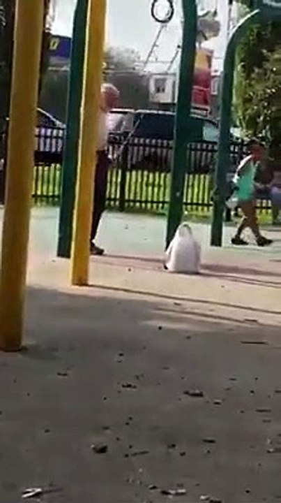 Yaşın bir önemi var mı?