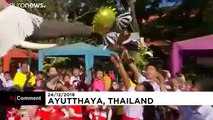 شاهد : سانتا كلوس يوزع الهدايا على ظهر فيل في تايلاند