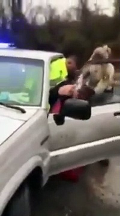 Il résiste à une arrestation et vole la voiture de police !